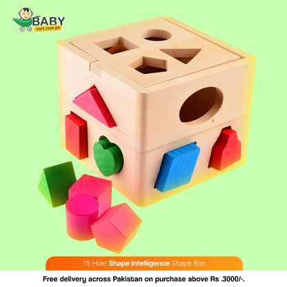 15 Hole Shape Intelligence Shape Box – Toys for Kids